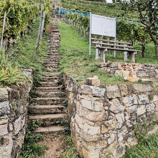 Die historischen Steintreppen am Castellberg  Jrg Mutz